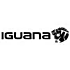  Iguana