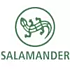  Salamander